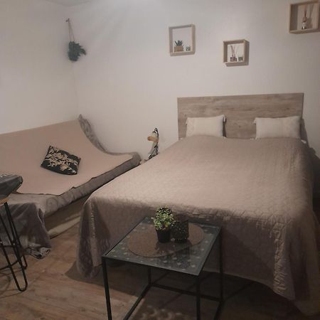 Studio Cosy Proche Centre Mpl/ Pk Gratuit มงต์เปอลิเยร์ ภายนอก รูปภาพ