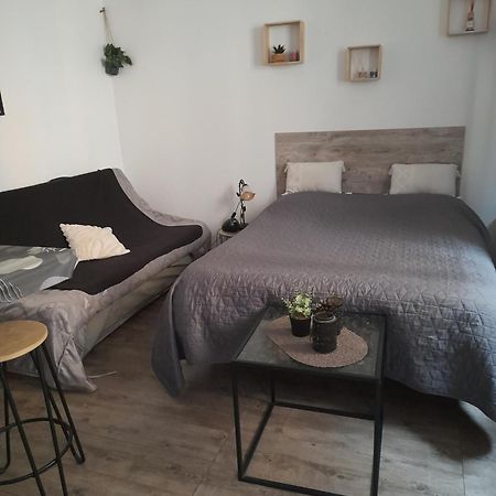 Studio Cosy Proche Centre Mpl/ Pk Gratuit มงต์เปอลิเยร์ ภายนอก รูปภาพ